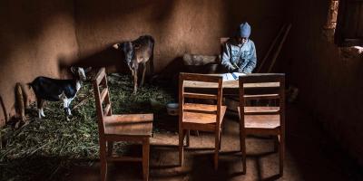A man and two animals in a house.