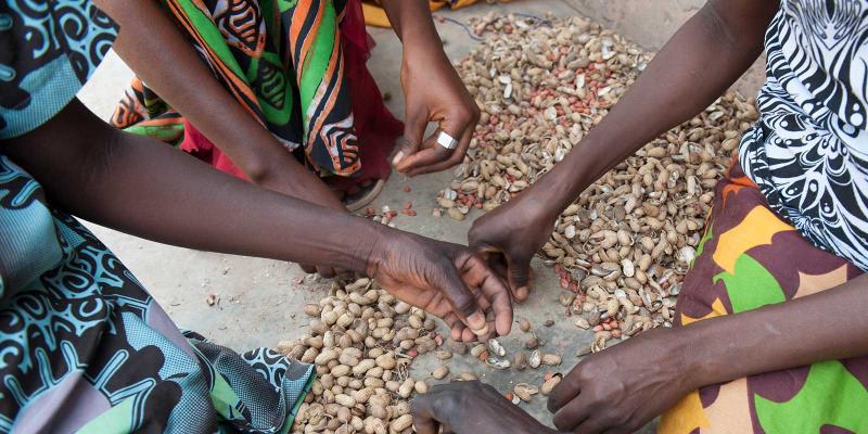 Women sorting hirsh, Senegal. 