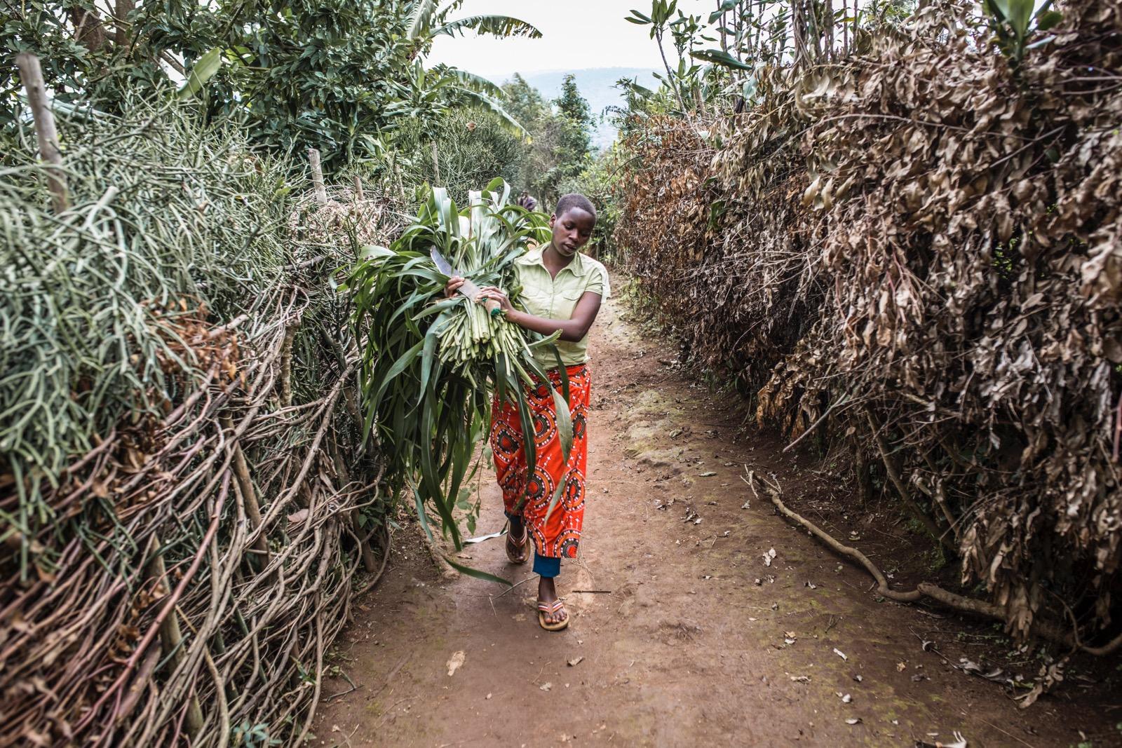 A girl carrying a bunch of leaves.
