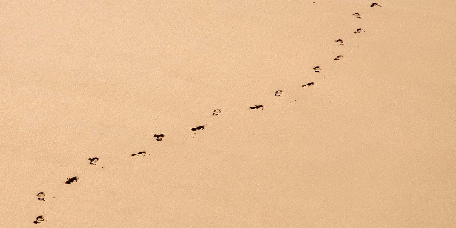 Footprints in sand.