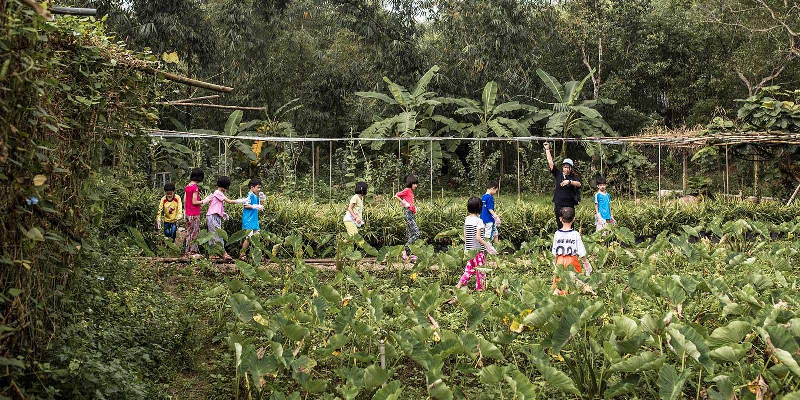 Children walking through lush garden.