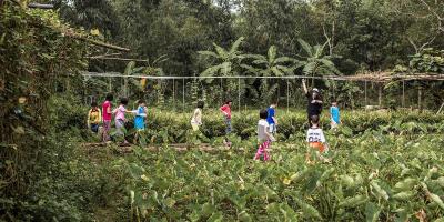 Children walking through lush garden.