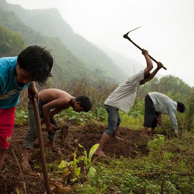 enter image alt text