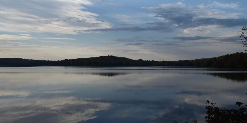 Beautiful lake and forest.