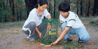 enter image alt text