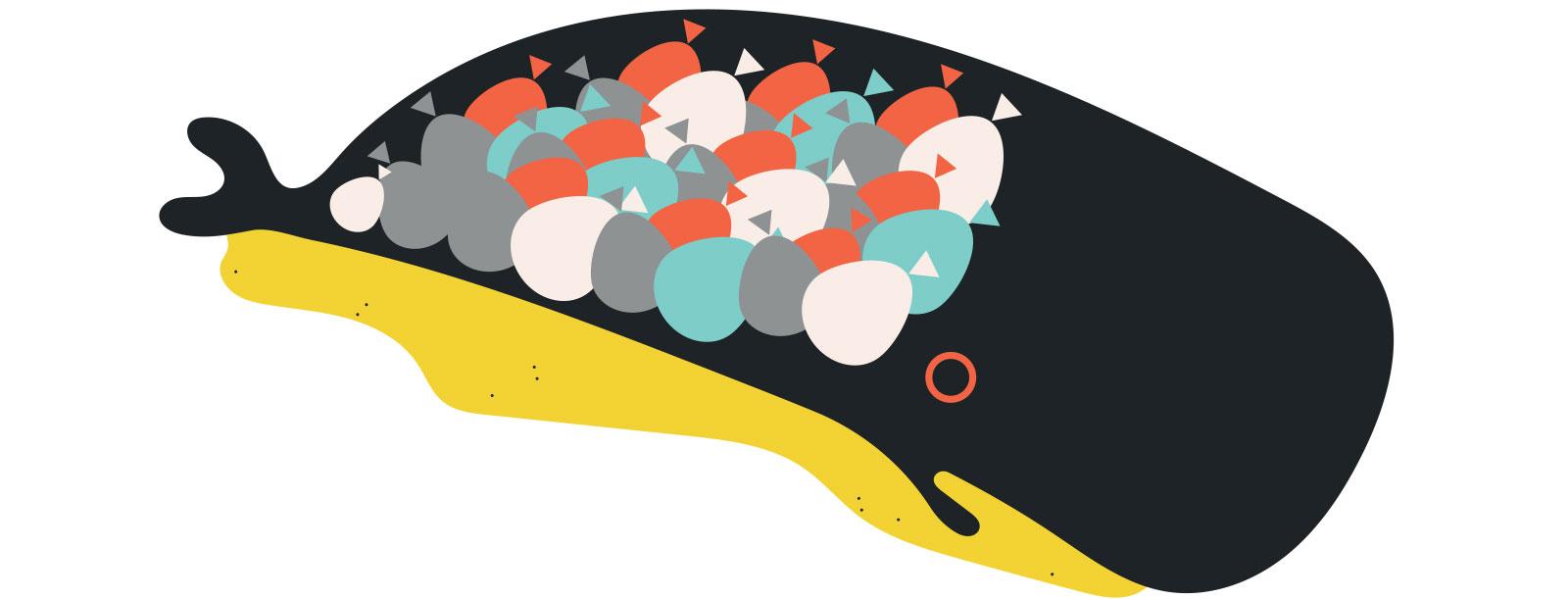 Whale with plastic bags in stomoach