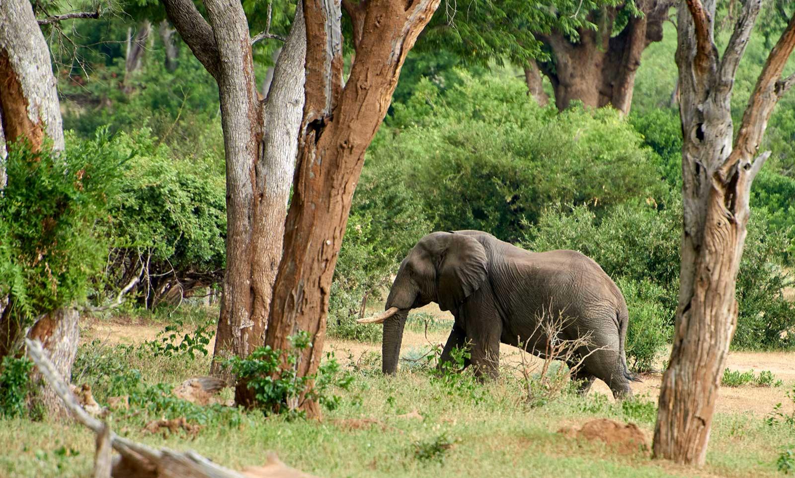 enter image alt text