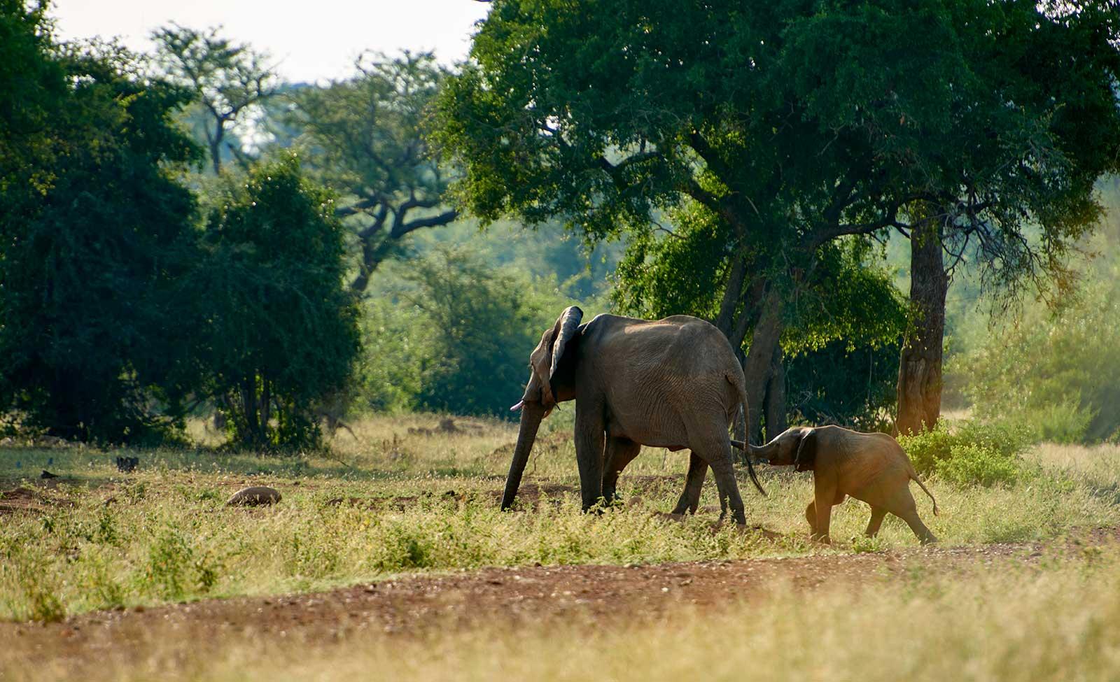 enter image alt text