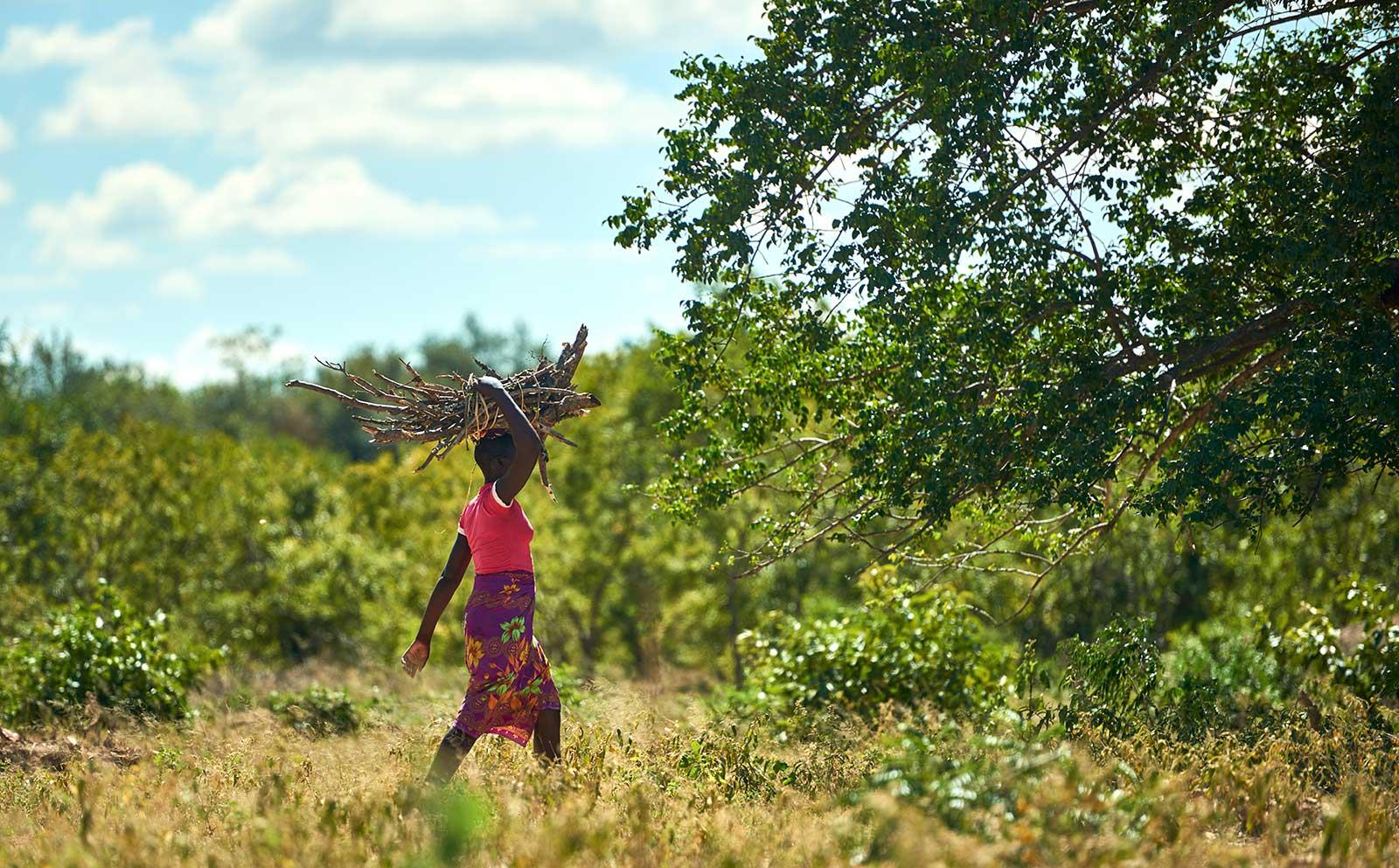 enter image alt text