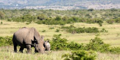 enter image alt text