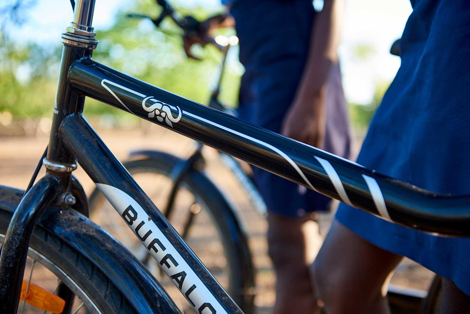 enter image alt text