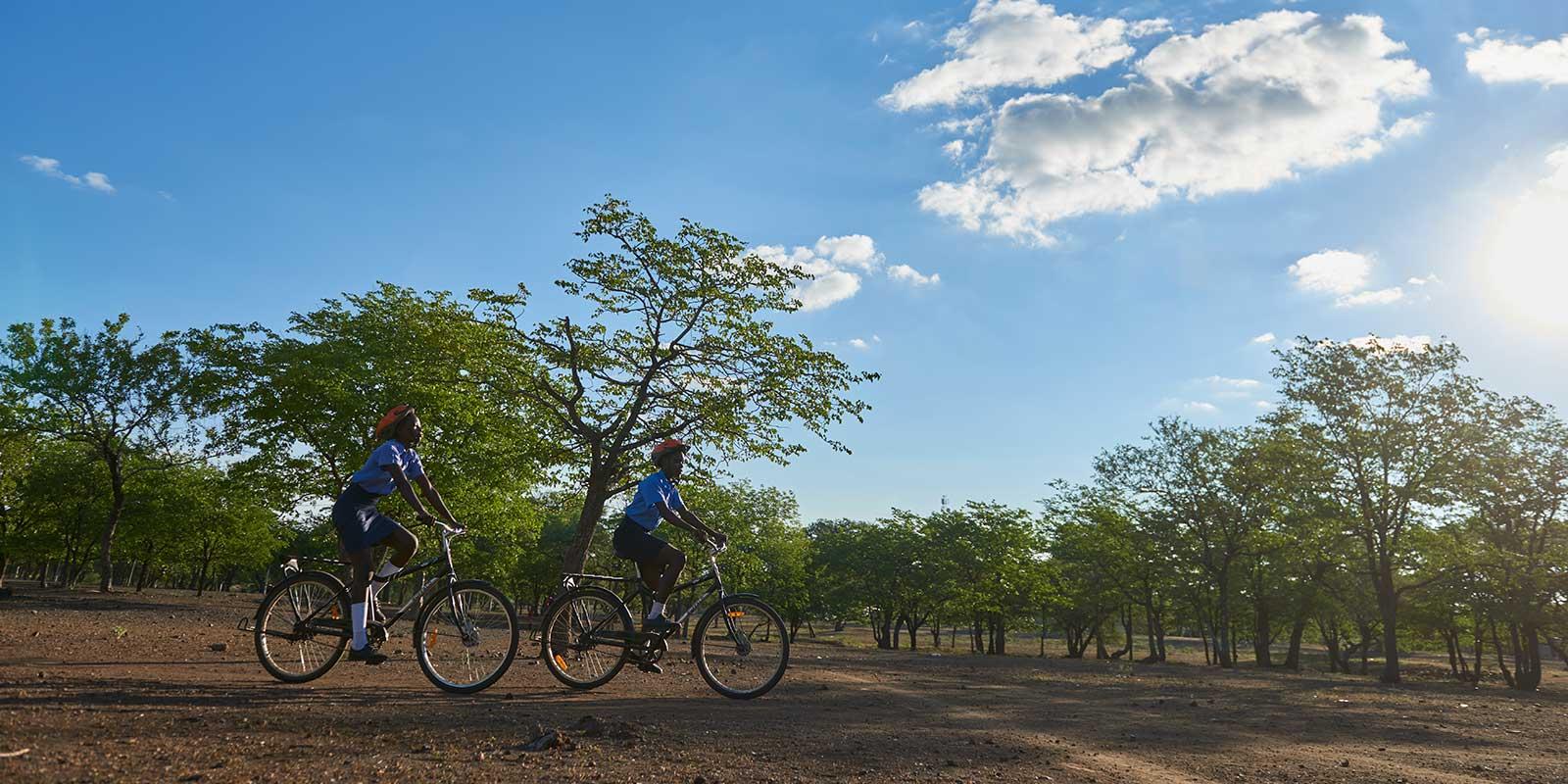 enter image alt text