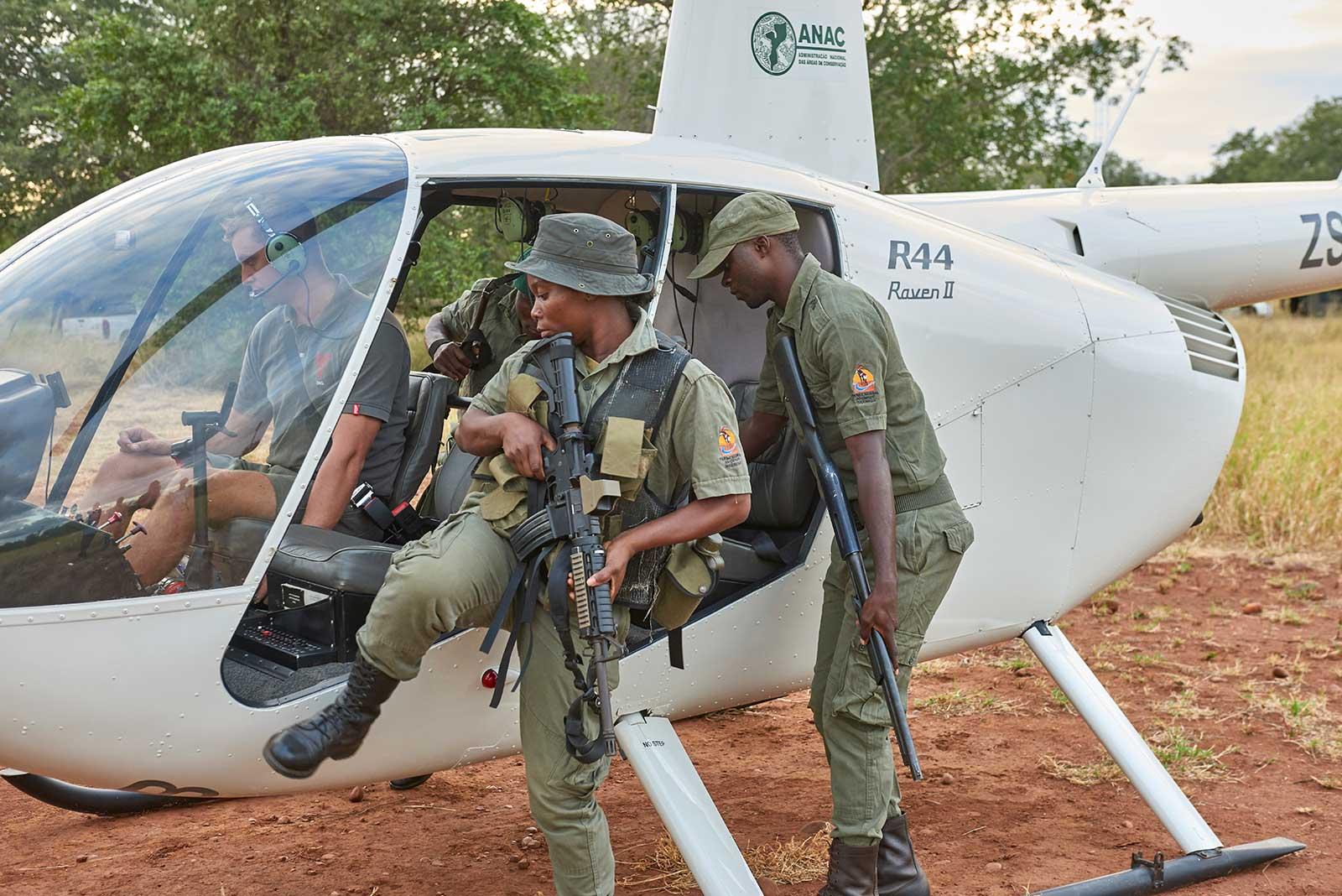 enter image alt text