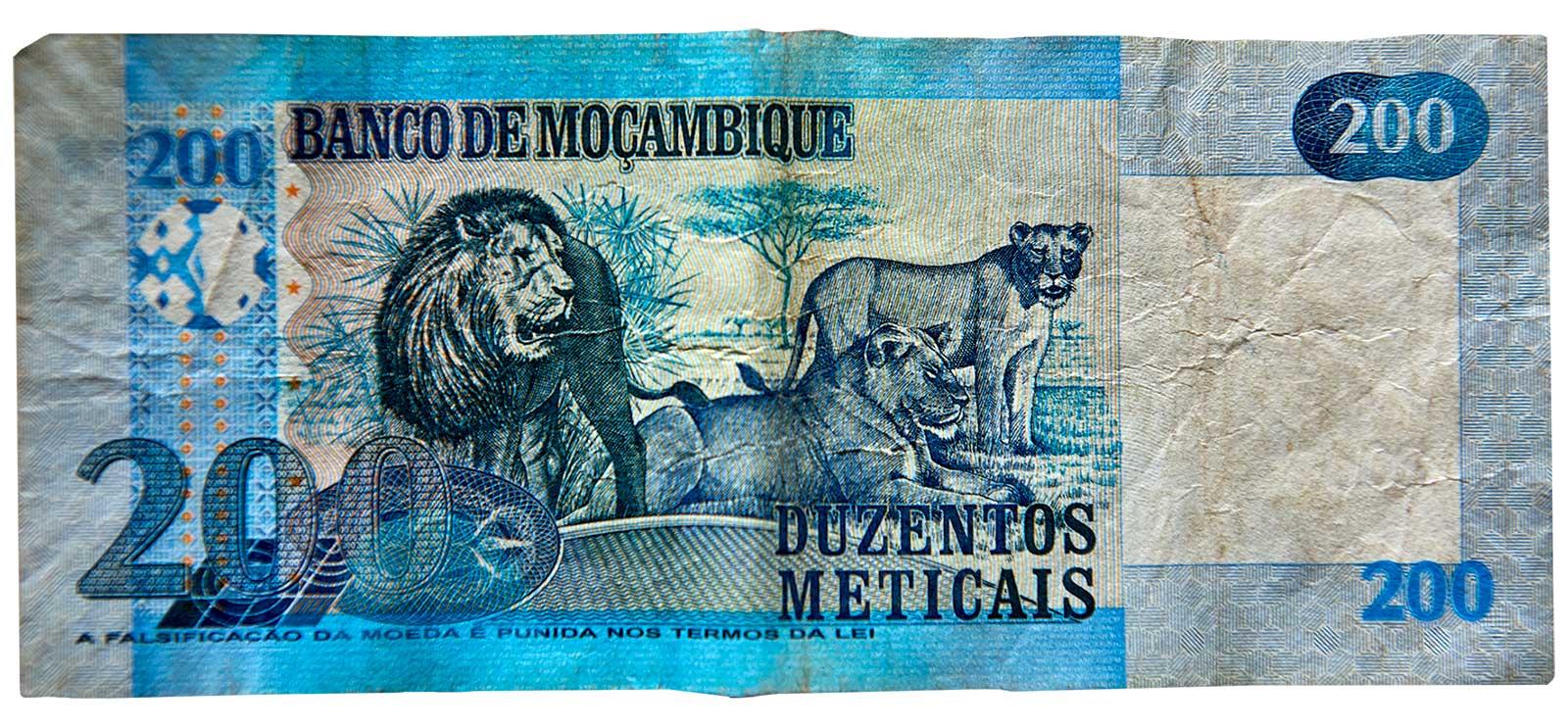 enter image alt text