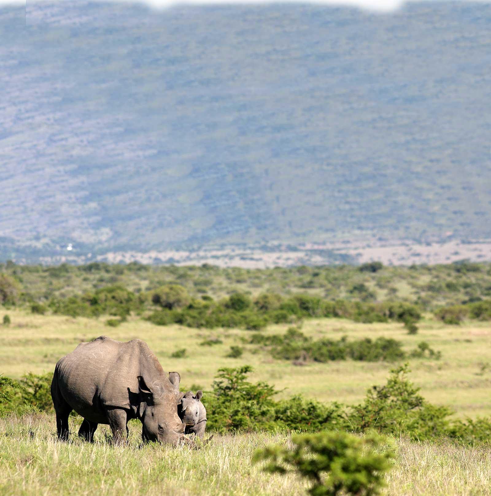 enter image alt text